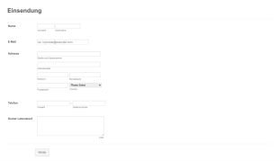 Einreichungsformular Form Template