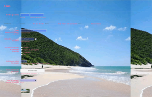 Ejemplo 1playas Form Template