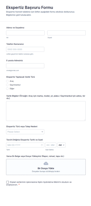 Ekspertiz Başvuru Form Şablonu