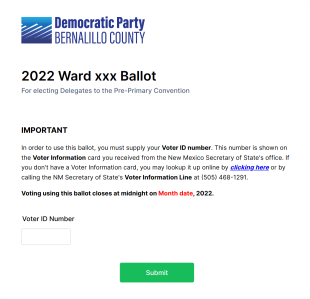 Election Candidate Nomination Form Template