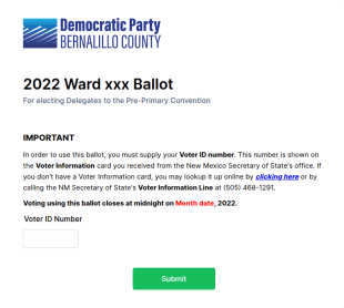 Election Candidate Nomination Form Template