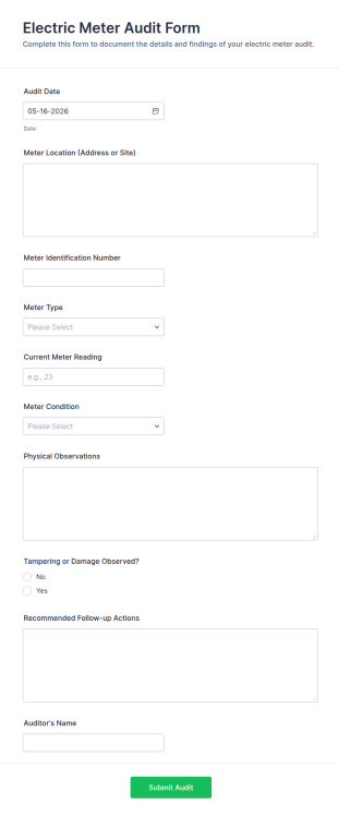 Electric Meter Audit Form Template