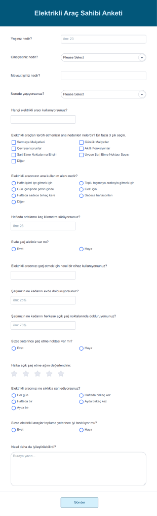 Elektrikli Araç Sahipleri Anketi Form Template