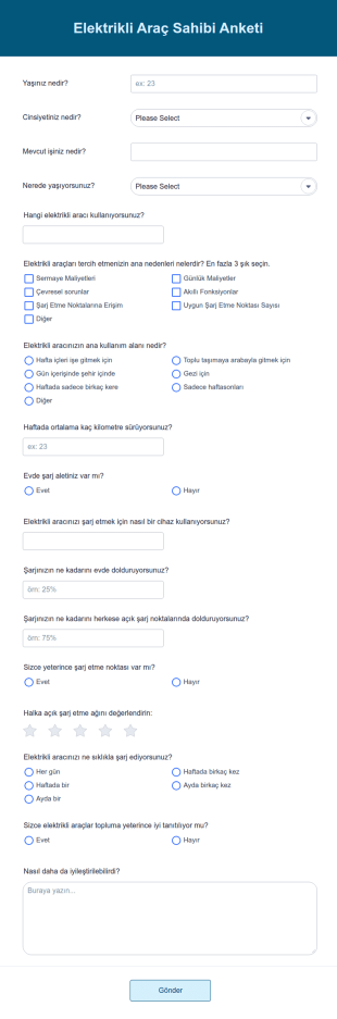 Elektrikli Araç Sahipleri Anketi Form Şablonu