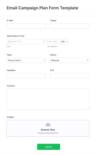 Email Campaign Plan Form Template
