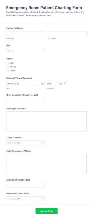 Emergency Room Patient Charting Form Template