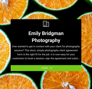 Photography Client Agreement Form Template