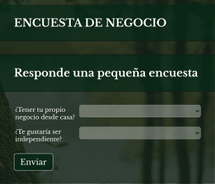 Encuesta De Negocio