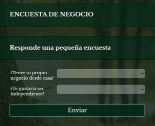 Encuesta De Negocio