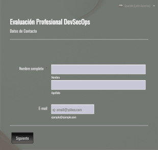 Encuesta De Profesionales De Tecnologías De Información Form Template
