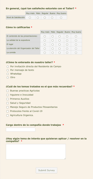 Encuesta De Satisfacción De Taller Form Template