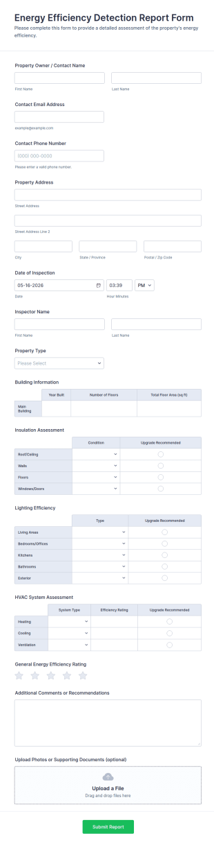 Energy Efficiency Detection Report Form Template