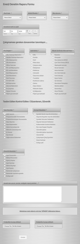 Enerji Denetim Raporu Form Template