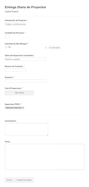 Entrega Diaria De Proyectos Form Template