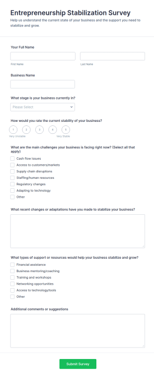 Entrepreneurship Stabilization Survey Form Template