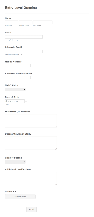 Entry Level Opening Application Form Template