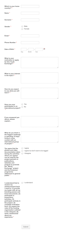 Erasmus+ Application Form For Youth Exchange Form Template