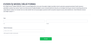 Evden İş Modeli Bilgi Form Şablonu