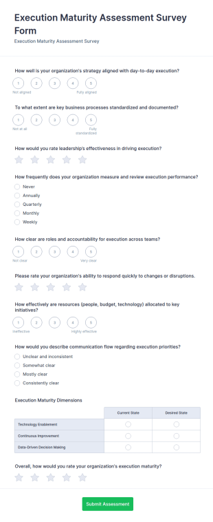 Execution Maturity Assessment Form Template