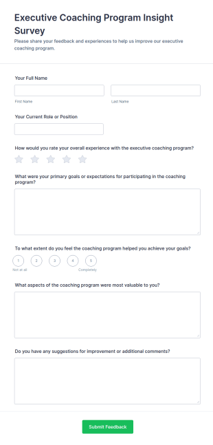 Executive Coaching Program Insight Survey Form Template