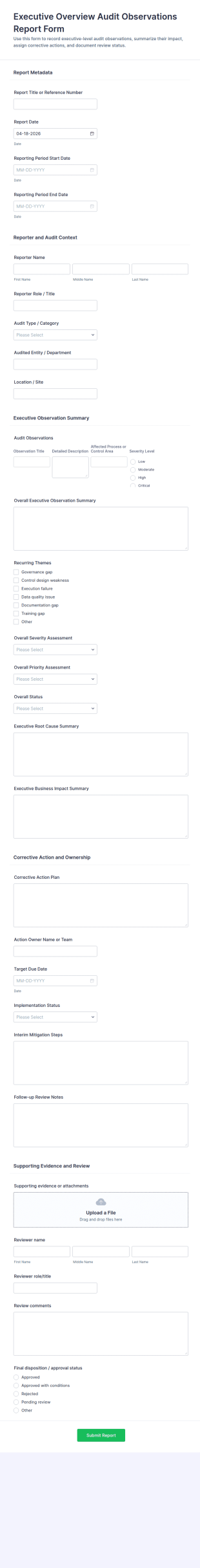 Executive Overview Audit Observations Report Form Template