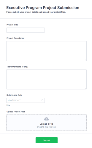 Executive Program Project Submission Form Template
