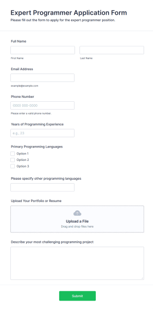 Expert Programmer Application Form Template