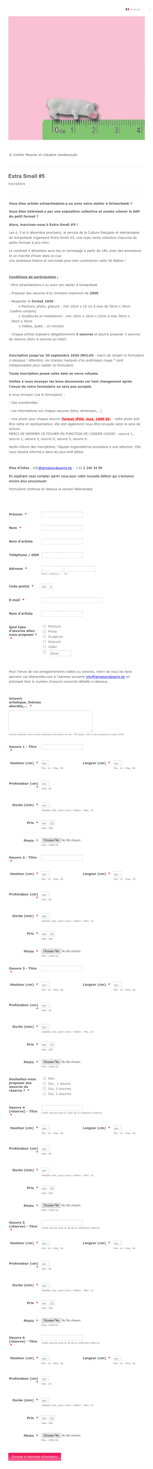 Extra Small #5 Inscriptions Form Template