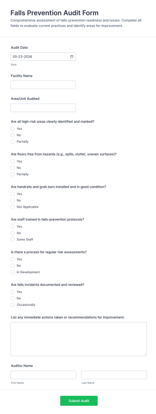 Falls Prevention Audit Form Template