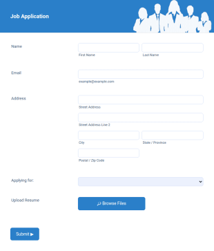Fancy Job Application Form Template