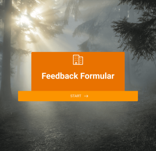 Feedback Formular