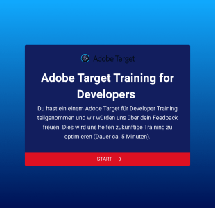 Feedbackformular Für Adobe Target For Developer Form Template