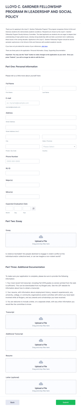Fellowship Program Application Form Template