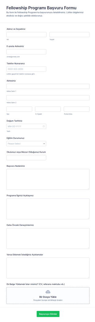 Fellowship Programı Başvuru Form Şablonu