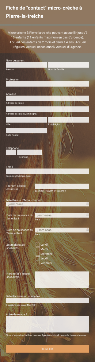 Fiche De Demande D'inscription En Micro Crèche Form Template