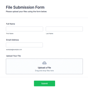 File Submission Form Template
