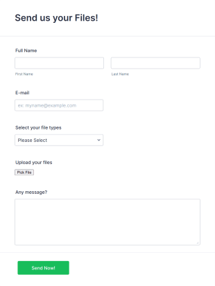 Filepicker Io Form Template