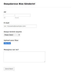 Filepicker.io Form Şablonu