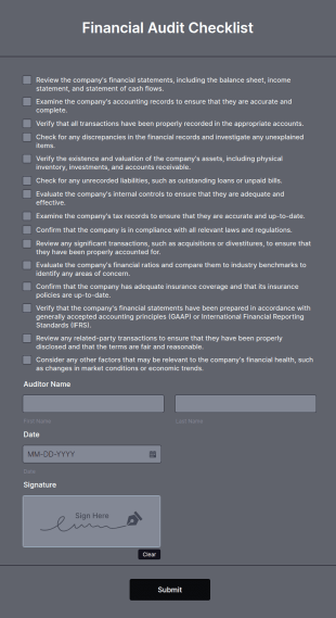 Financial Audit Checklist Form Template