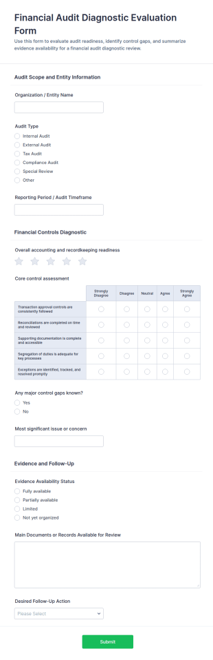 Financial Audit Diagnostic Evaluation Form Template