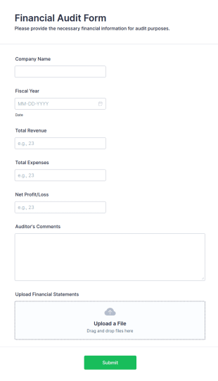 Financial Audit Form Template