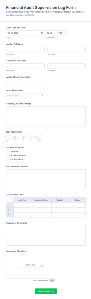 Financial Audit Supervision Log Form Template