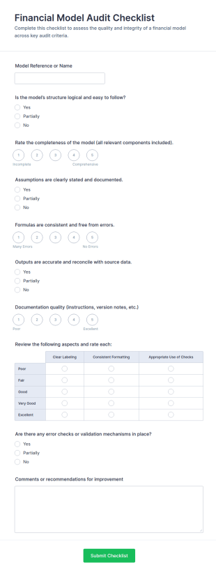 Financial Model Audit Checklist Form Template