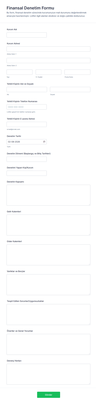 Finansal Denetim Form Şablonu