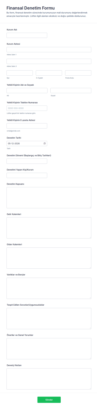 Finansal Denetim Form Şablonu