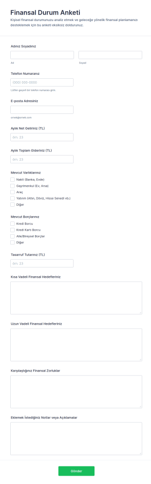 Finansal Durum Özeti Anketi Form Şablonu