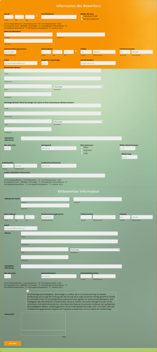 Finanz Bewerbungsformular Form Template