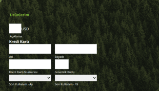 First Data Online Bagis Form Şablonu