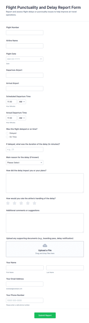Flight Punctuality And Delay Report Form Template
