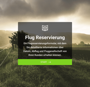 Flugreservierungsformular Form Template